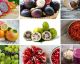 Las asombrosas frutas que matan células cancerígenas !