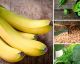 Gracias a estos alimentos no tendrás que tomar más vitaminas ni complementos alimenticios