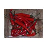 pimientothai pimientothai