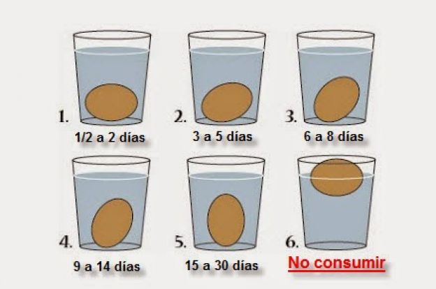 el estado de los huevos