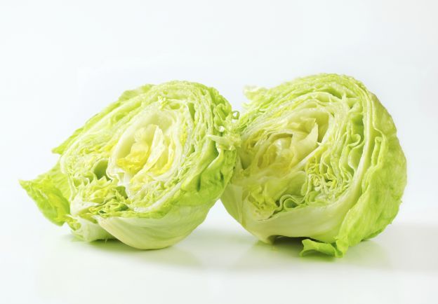 Lechuga