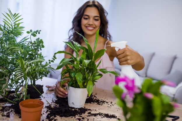 Para las plantas