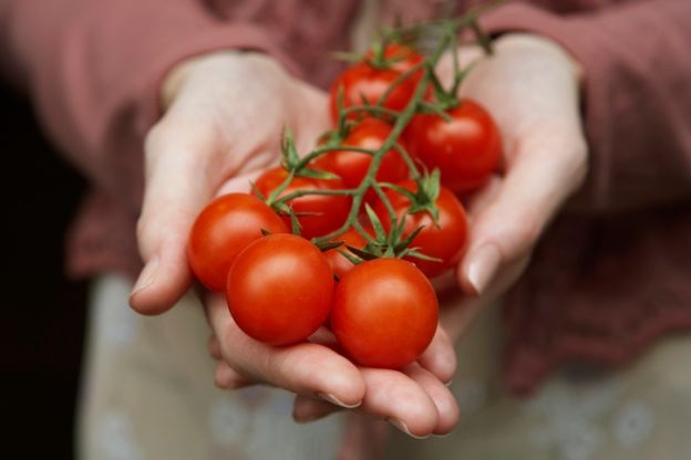 Tomates