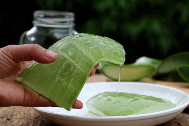 Gel de aloe vera