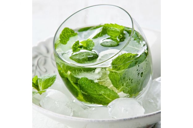 Limonada de hinojo y menta