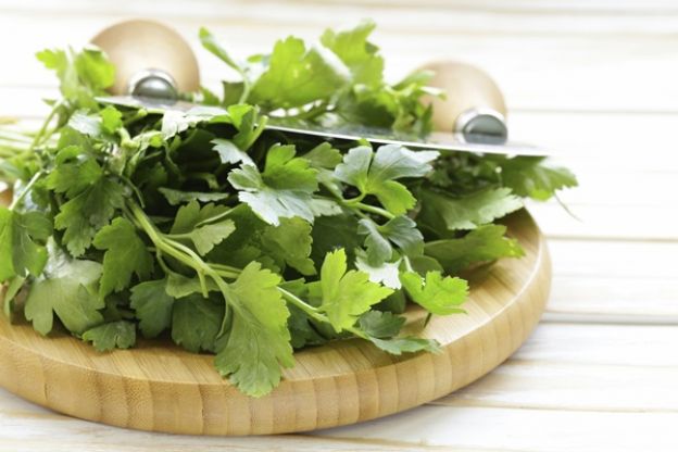 Cilantro y limón