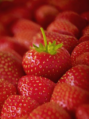 Fresas: Dientes blancos