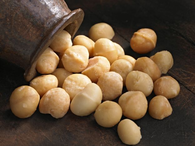 Las nueces de macadamia