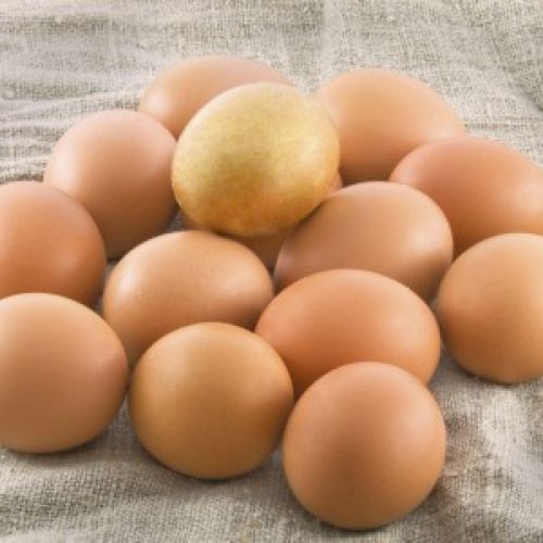 La gallina de los huevos de oro