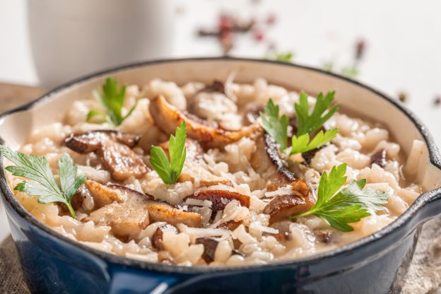 Stroganoff de champiñones