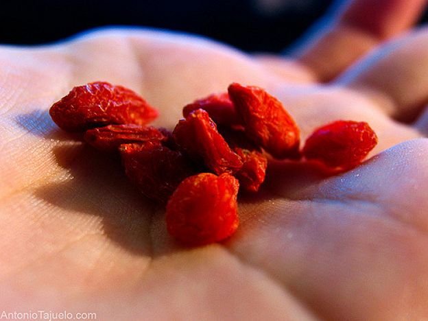 Bayas de Goji