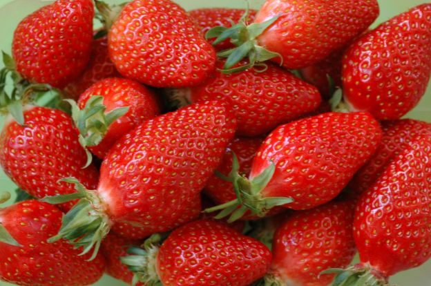 PLANTAR FRESAS EN CASA