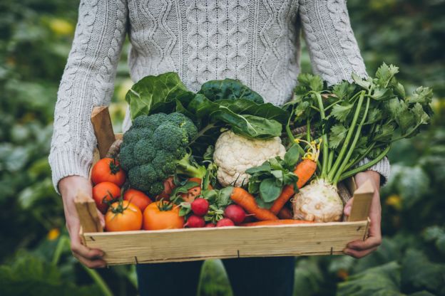 Los alimentos que compras directamente al agricultor son más saludables