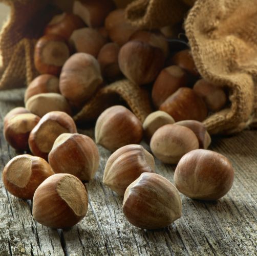 Nueces