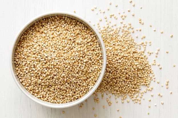 2009 - QUINOA