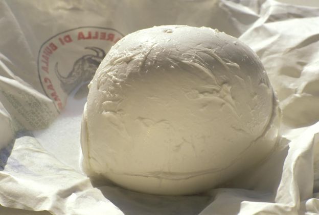 Sólo mozzarella de búfala de Denominación de Origen