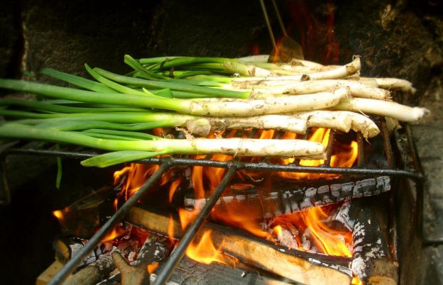 Calçots