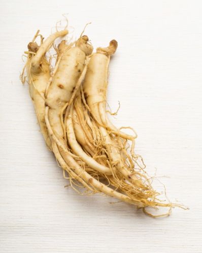 El ginseng