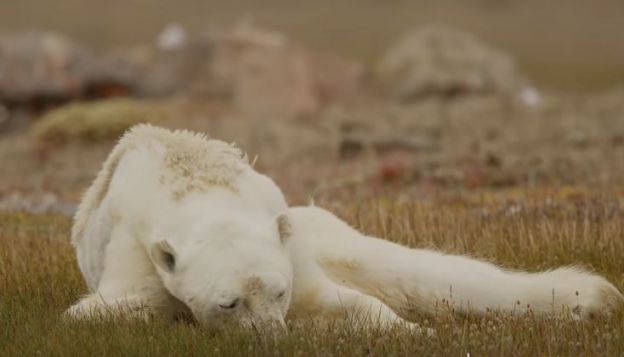 Así se ve el cambio climático