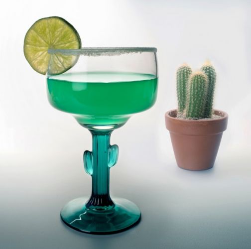 Margarita de cactus