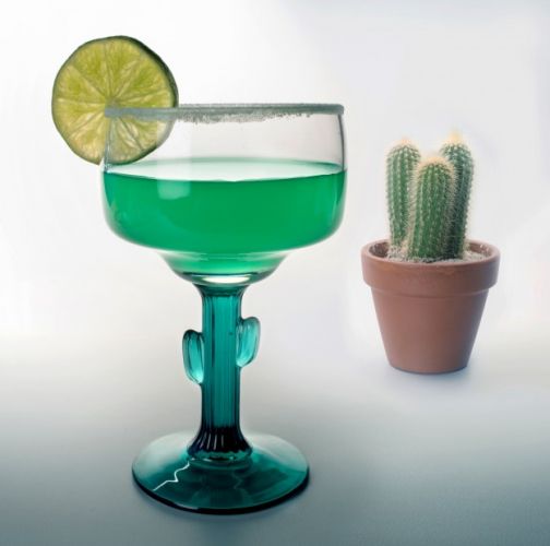 Margarita de cactus