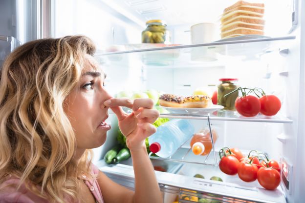 desodoriza tu refrigerador