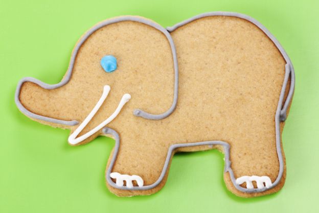 Galletas elefante