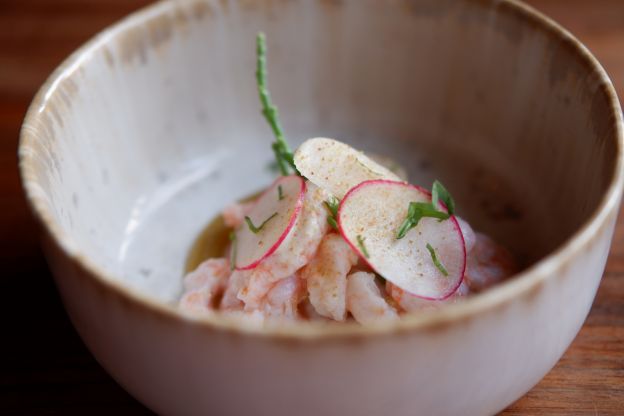 Ceviche de gambas rápido