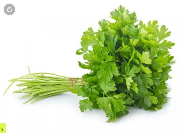 ¿CILANTRO O PEREJIL?