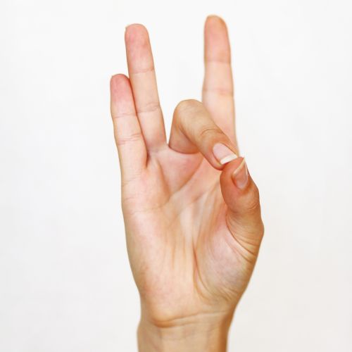 Shuni Mudra