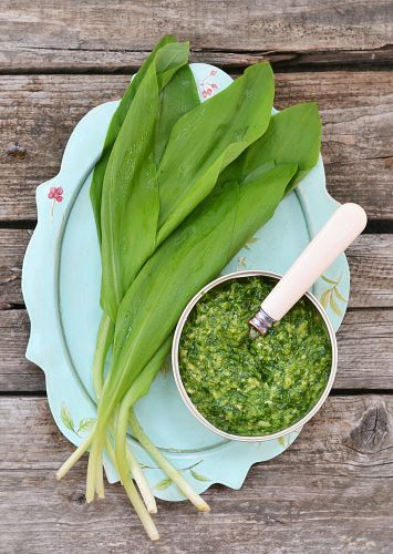 Pesto de ajo de oso