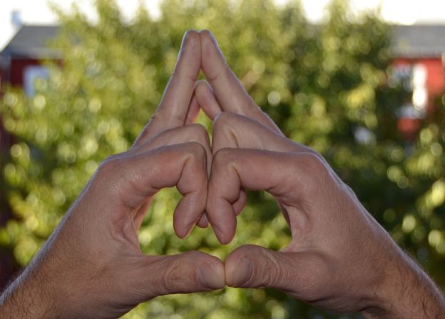 Shakti Mudra