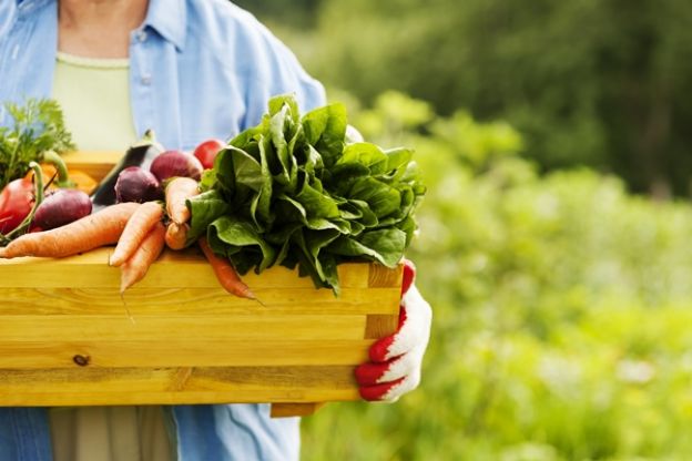 Consumían productos de huerta