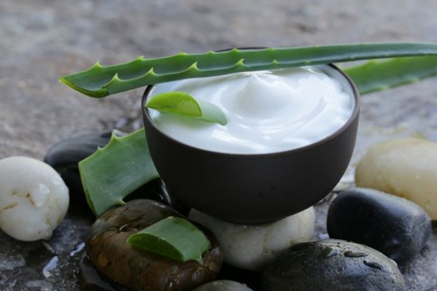 Aloe vera en cremas y ungüentos