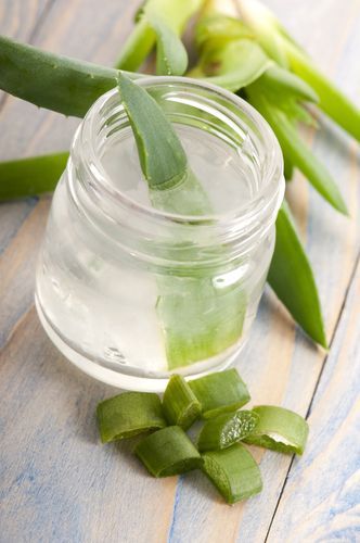 Aloe vera