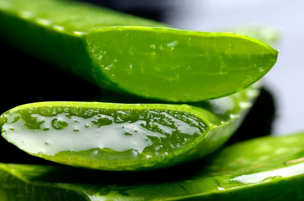 Con aloe vera natural o en gel