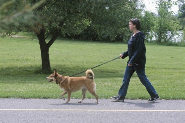 Sal a caminar por la mañana