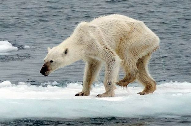 Así se ve el cambio climático