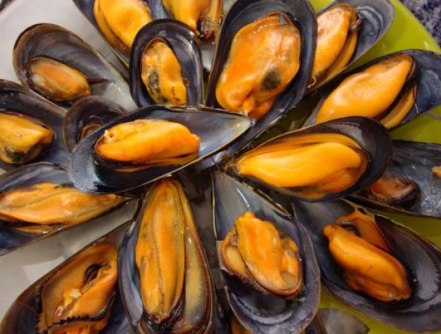 Mejillones