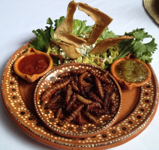 tacos de gusanos de maguey