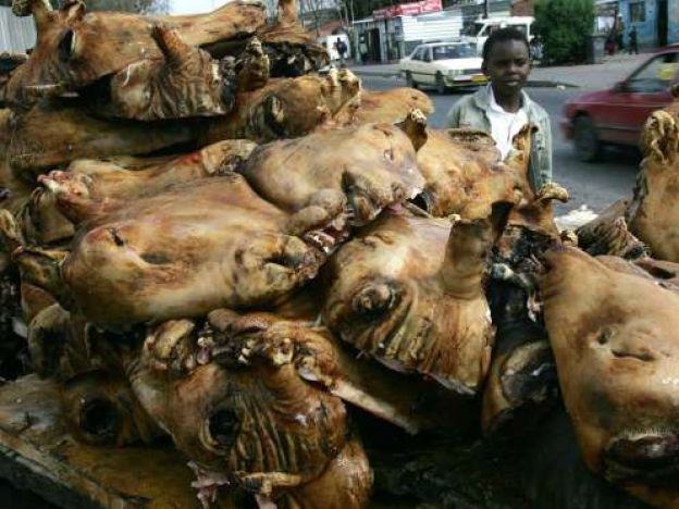 Cabeza de oveja hervida (Sudáfrica)