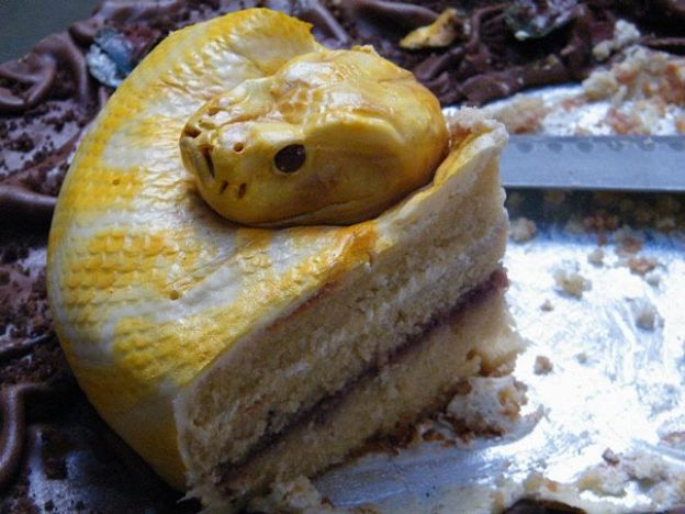 Tarta Serpiente