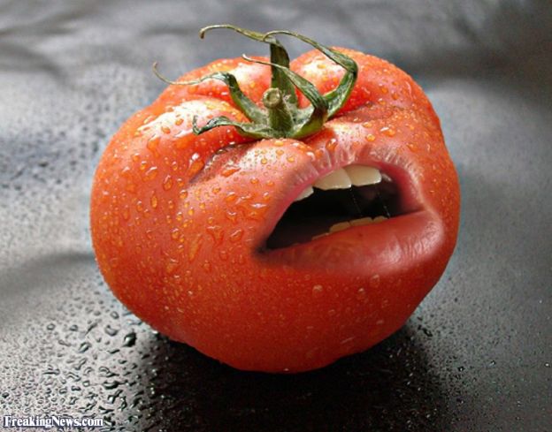 Tomate