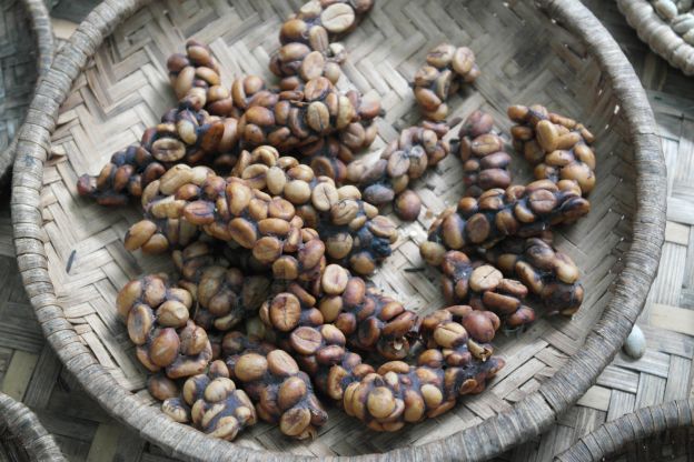 Café Kopi Luwak - Indonesia