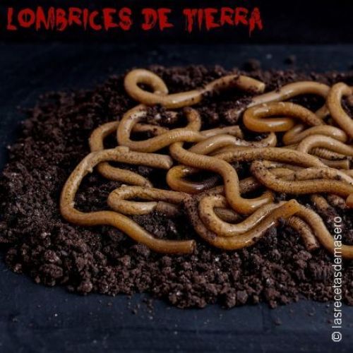 LOMBRICES DE TIERRA