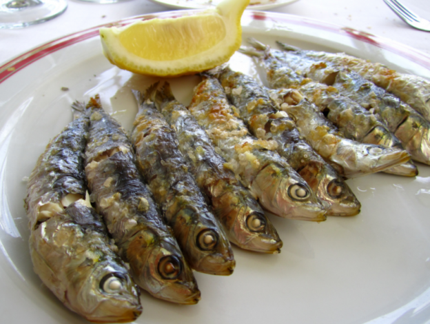 15.- Sardinas