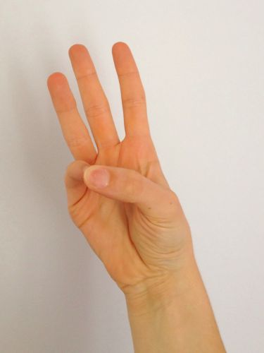 Buddhi Mudra