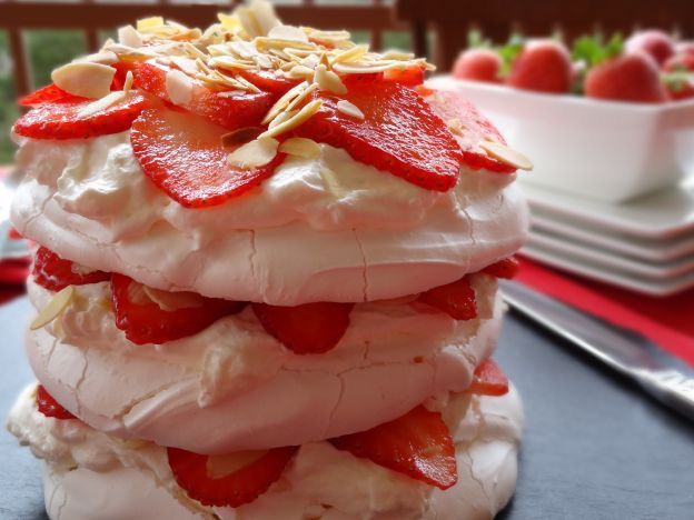 8. PAVLOVA