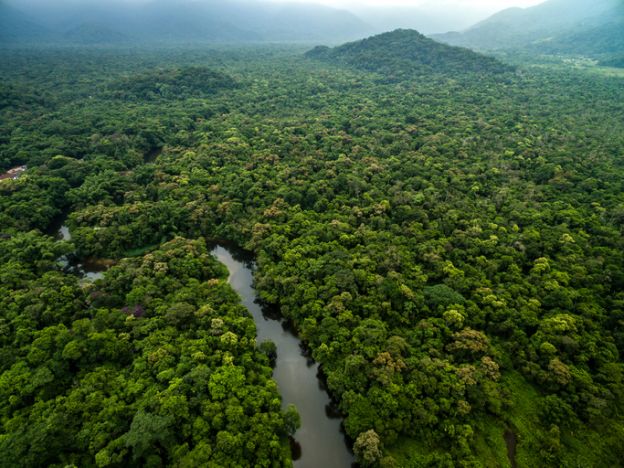 cuidas el ambiente