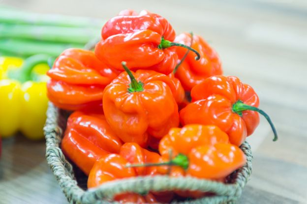 Chile habanero